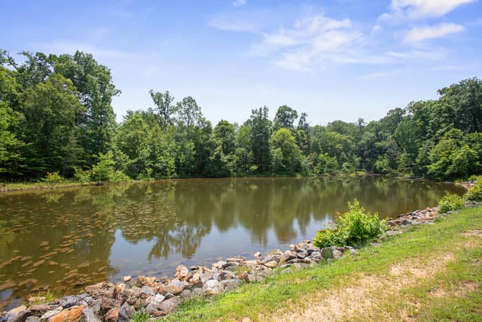 Calm community pond reflecting surrounding green forest, with a rocky riprap shoreline and grassy bank in the foreground under a blue sky with light clouds