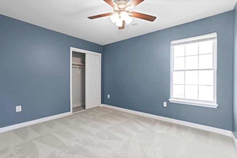 Blue-walled carpeted bedroom with a lighted ceiling fan, a reach-in closet with bypass doors, and a large window