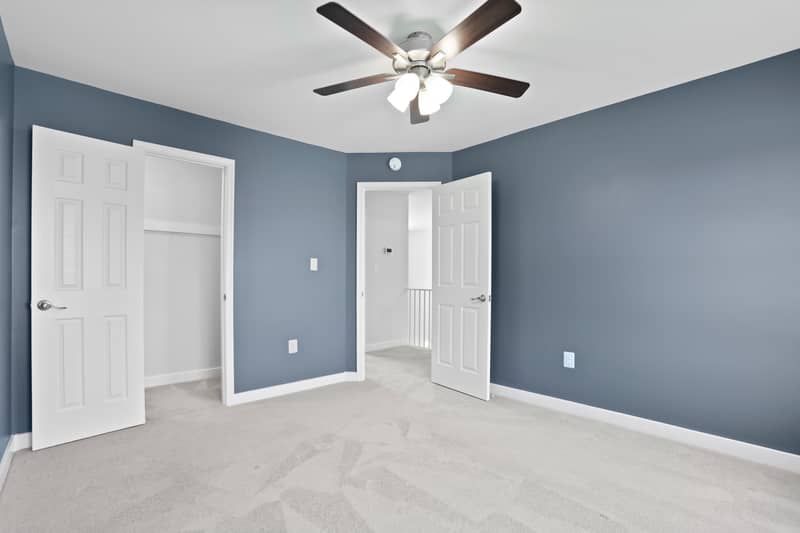 Blue-walled carpeted bedroom with a lighted ceiling fan, two windows, a wall-mounted shelf, and a reach-in closet with shelving